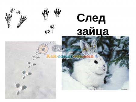 ��� ��������� ���������� ����� Sign?