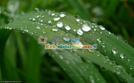 ��� ��������� ���������� ����� Spot?