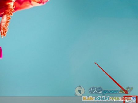 ��� �������� ����� � ���� � Windows 8,10?
